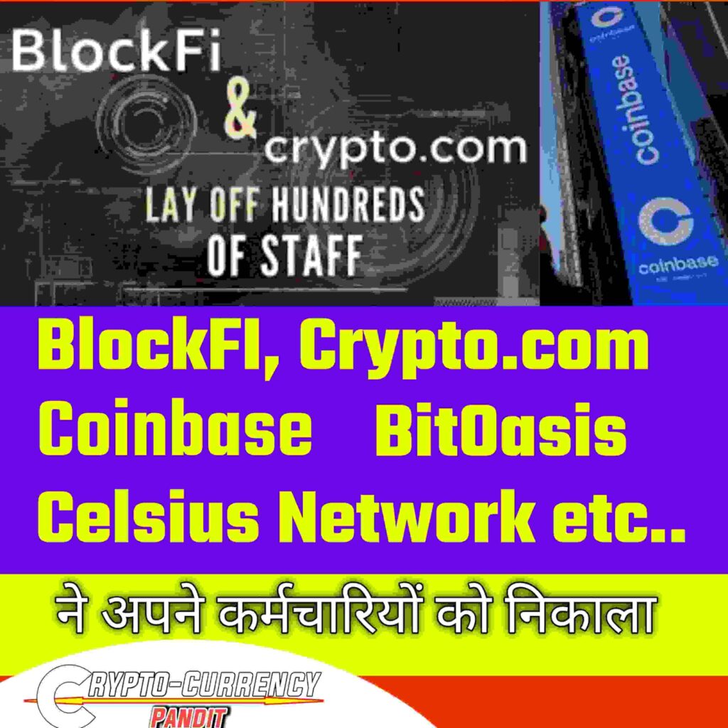 क्रिप्टोकरंसी बाज़ार में गिरावट का दिखने लगा असर, इन कंपनियों ने सैकड़ों कर्मचारियों को नौकरी से निकाला Crypto lay off blockfi Celsius bitoasis crypto.com gemini, wazirx