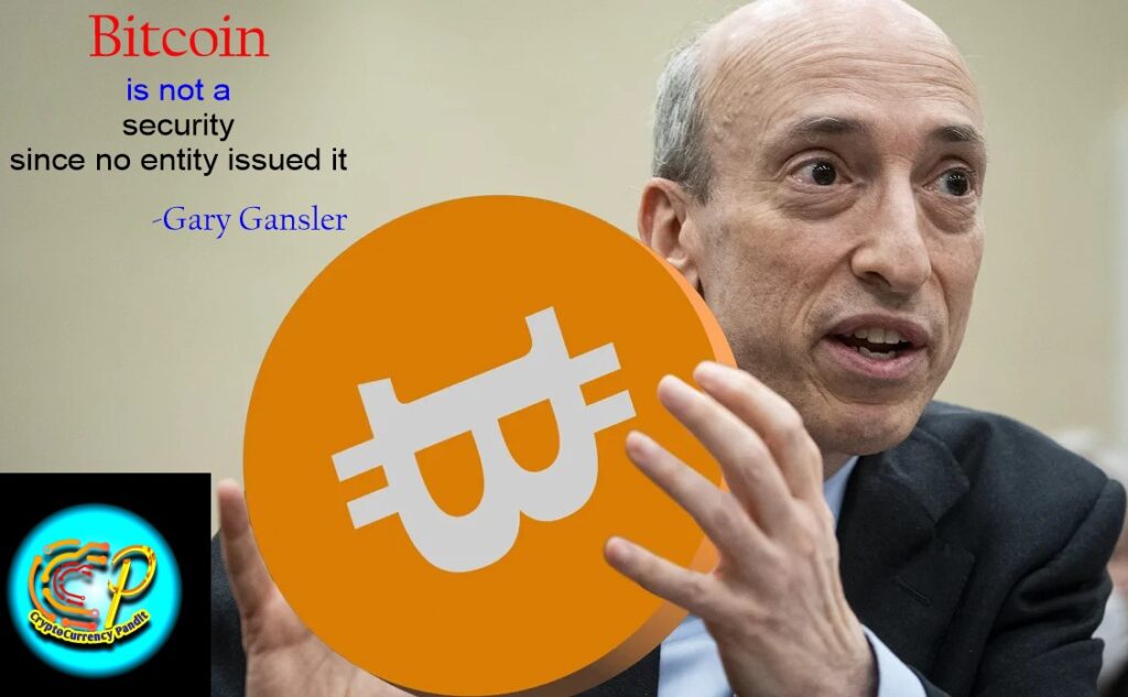 Gary Gensler, who has previously branded the bitcoin and crypto market a "Wild West" and this week repeated a warning that many crypto companies are "non-compliant," said the SEC has "robust authorities from Congress to use our exemptive authorities that we can tailor investor protection."