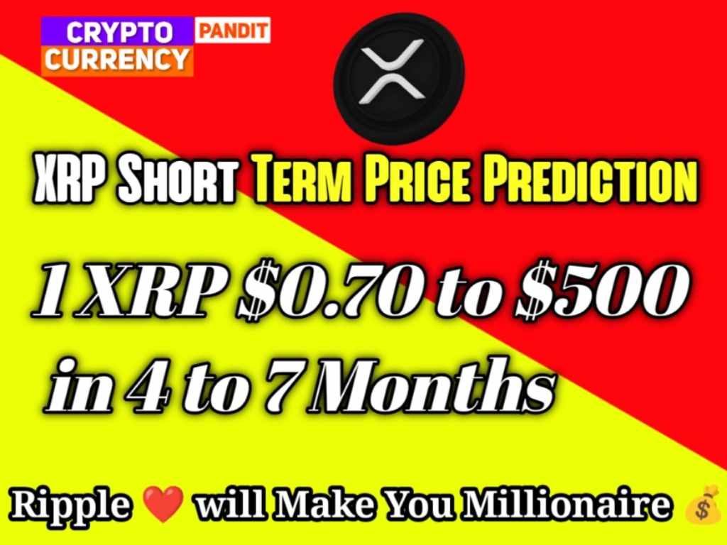 xrp to 500 dollors price prediction shannon thorpe