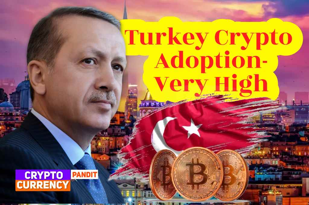 CryptoCurrency turkey adoption